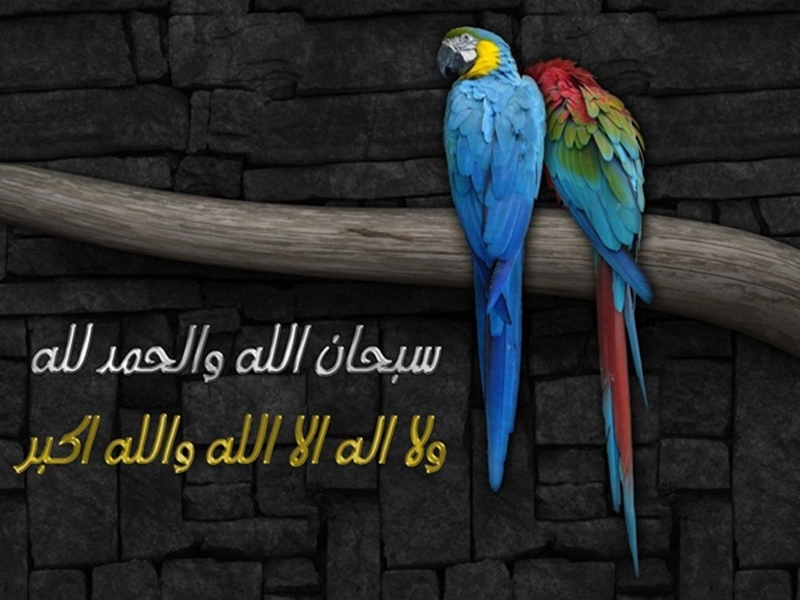 أجدد 10 خلفيات اسلامية لسطح المكتب